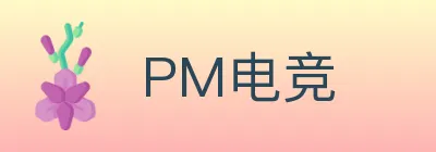 PM电竞 logo